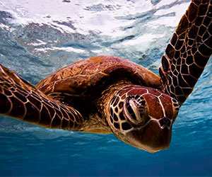 ZSL Animal Photography Exhibition_1
