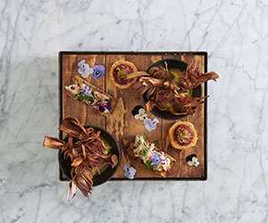 Platter of antipasti