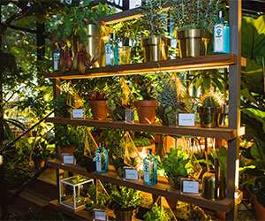 Bombay Sapphire Botanical_display