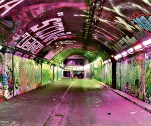 Birdies_Tunnel