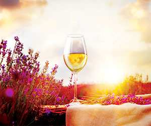 Wine Experience hosted by Telegraph Bespoke