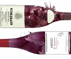 Penfolds vineyards