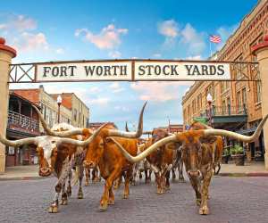Fort Worth Stockyards