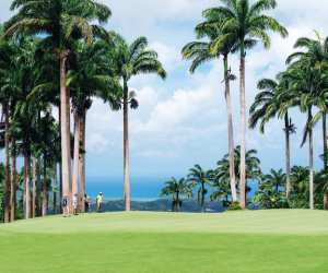 Apes Hill Barbados