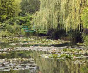 Monet's garden