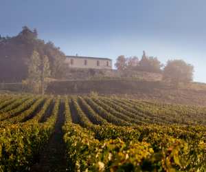 The winery at Château Quintus