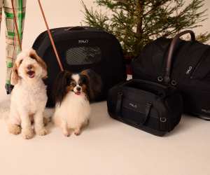 Tavo Pets Hendrick Car Seat & Carrier