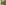 mattrobertsrunning_widget