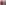 Vulpine