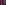 Nina Conti
