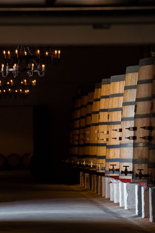 Inside Chateau Margaux's famous vineyard Inside Chateau Margaux's famous vineyard