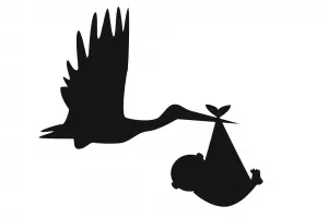 The Stork
