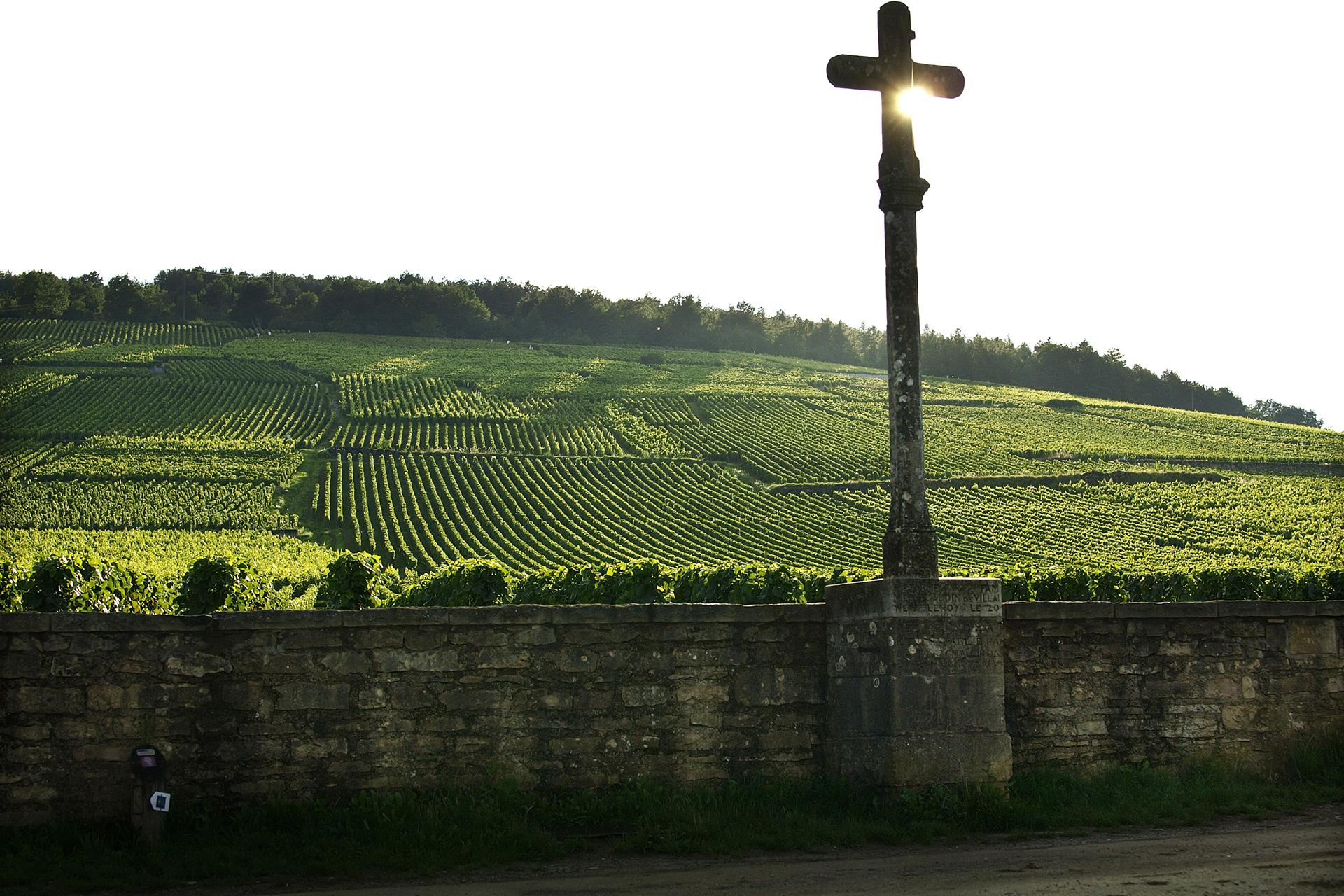 La Romanée-Conti, Burgundy’s most prized vineyard La Romanée-Conti, Burgundy’s most prized vineyard