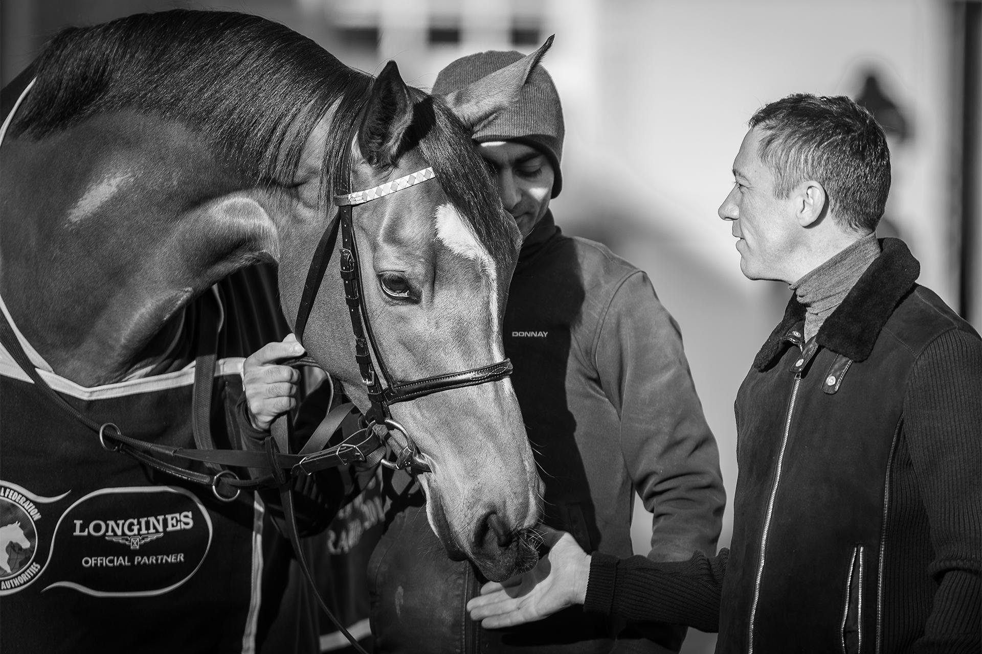 Enable and jockey Frankie Dettori at Clarehaven Stables, Newmarket Enable and jockey Frankie Dettori at Clarehaven Stables, Newmarket