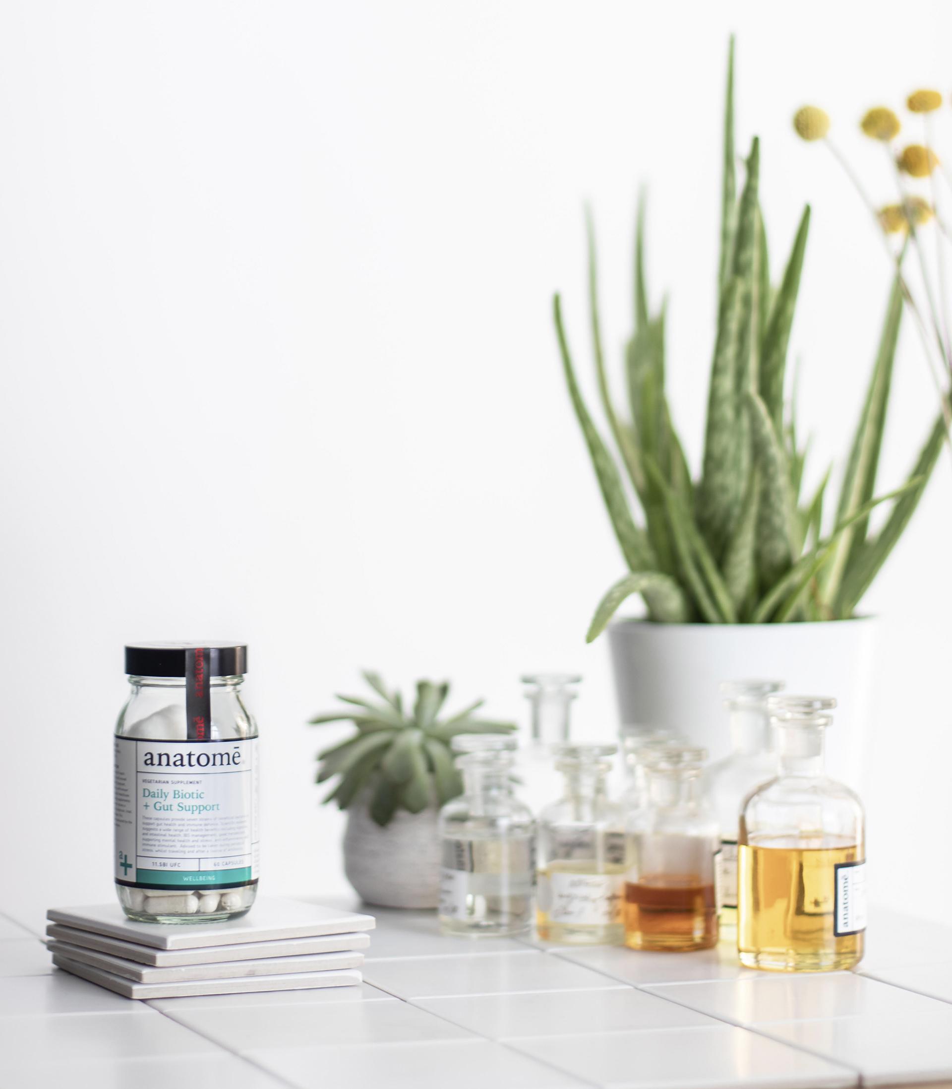 Anatome Essential Daily Probiotic + Gut Support Anatome Essential Daily Probiotic + Gut Support