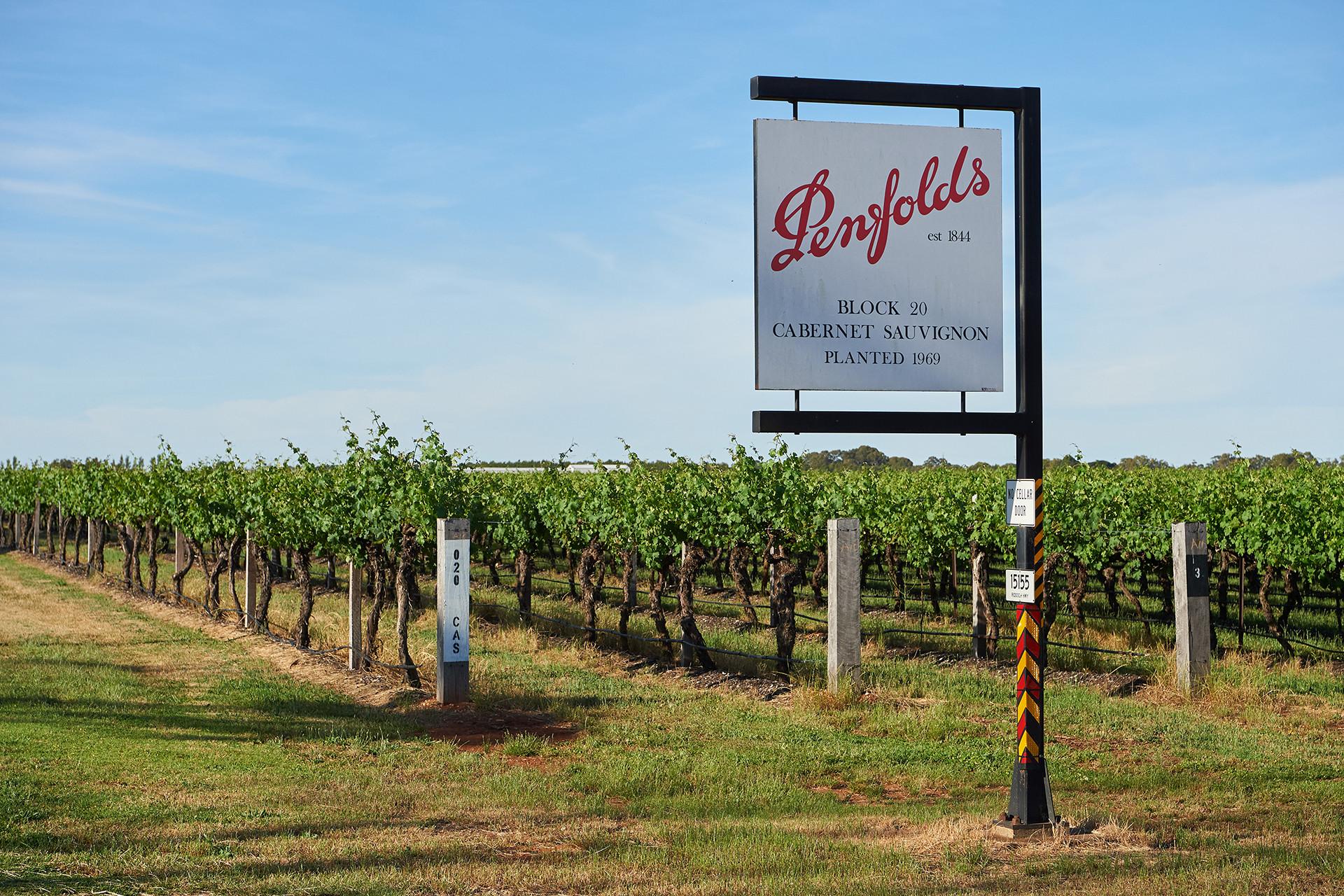 Penfolds Penfolds