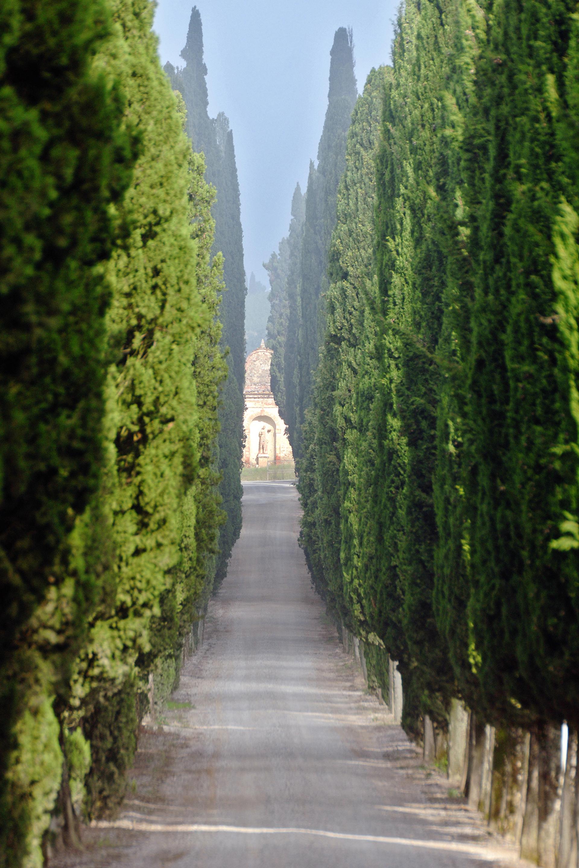 Arcanum, Italy Arcanum, Italy