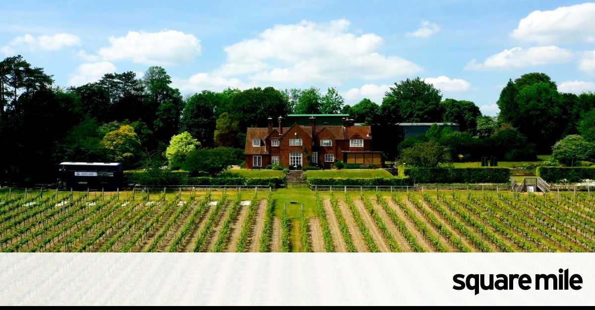 The story behind Hambledon Vineyard - Vimarsana News