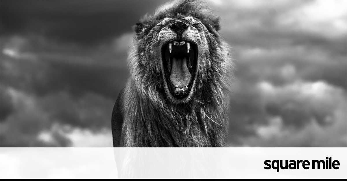 Go wild for the photos of William Fortescue - Vimarsana News