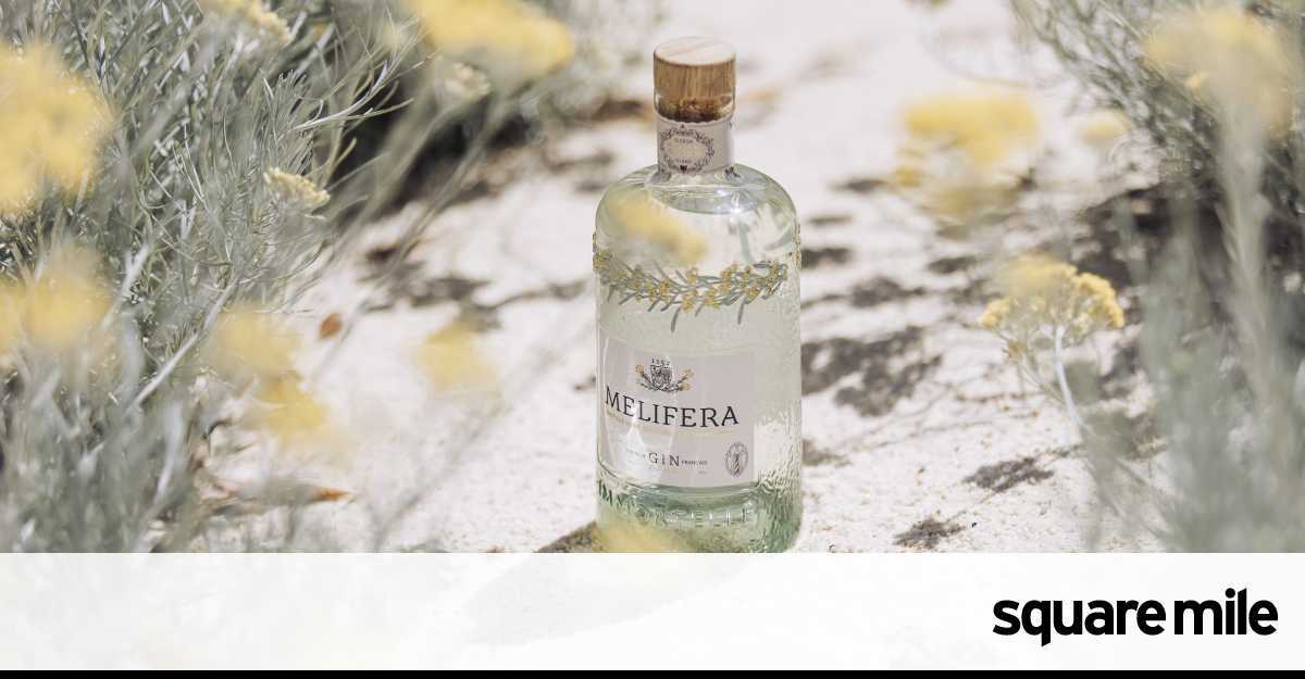 Win two bottles of Melifera gin - Vimarsana News
