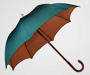 umbrella_widget