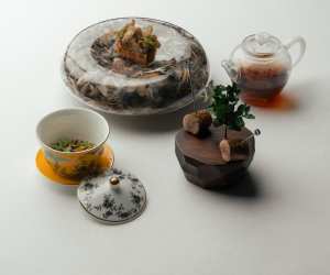 Da Terra Quail course