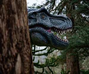 T-Rex statue at Ynyshir