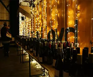 The alternative guide to buying wine this Christmas