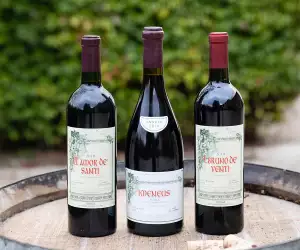 Best investment wines of 2019