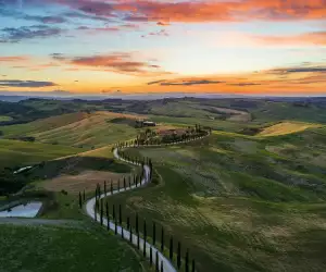 Three top Italian wineries to invest in