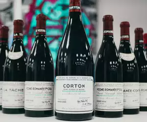 Fine wines from Burgundy