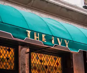 The Ivy