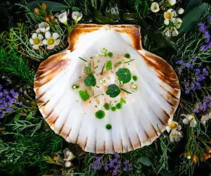 Dom Pérignon x Clare Smyth, Cornish turbot, crab and Ras El Hanout broth