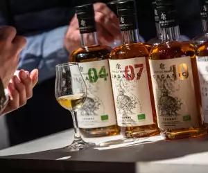 Cognac show