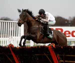 ico de Boinville riding Constitution Hill goes on to win the Unibet Tolworth Novices' Hurdle (Grade 1) (GBB Race) at Sandown Park Racecourse.