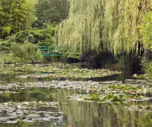 Monet's garden