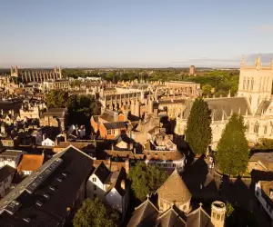 Wilde Cambridge