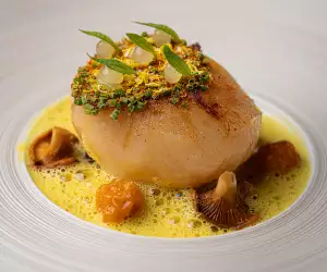 XXL scallop at The Cocochine